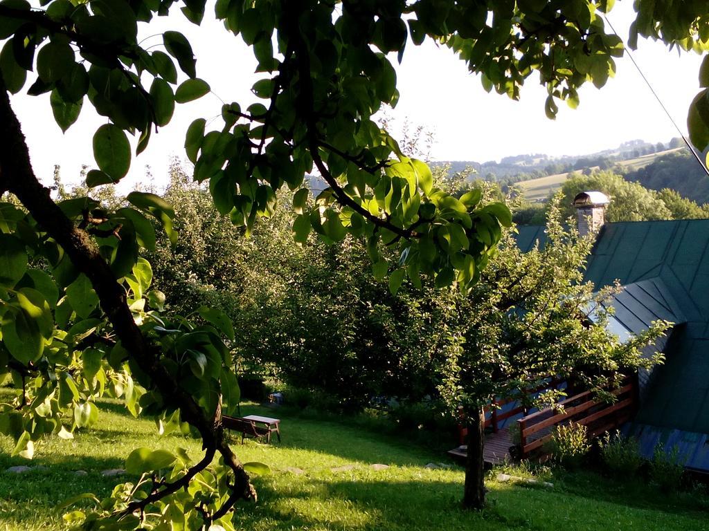 U Mushera Vrchlabi Bagian luar foto